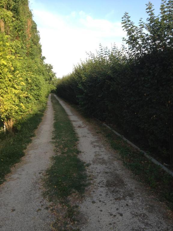 Societa Agricola Le More Agriturismo La Dondina Budrio  Exterior foto